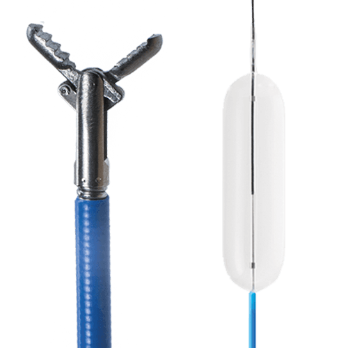 gastro-1 Single-Wire Biopsy Forceps